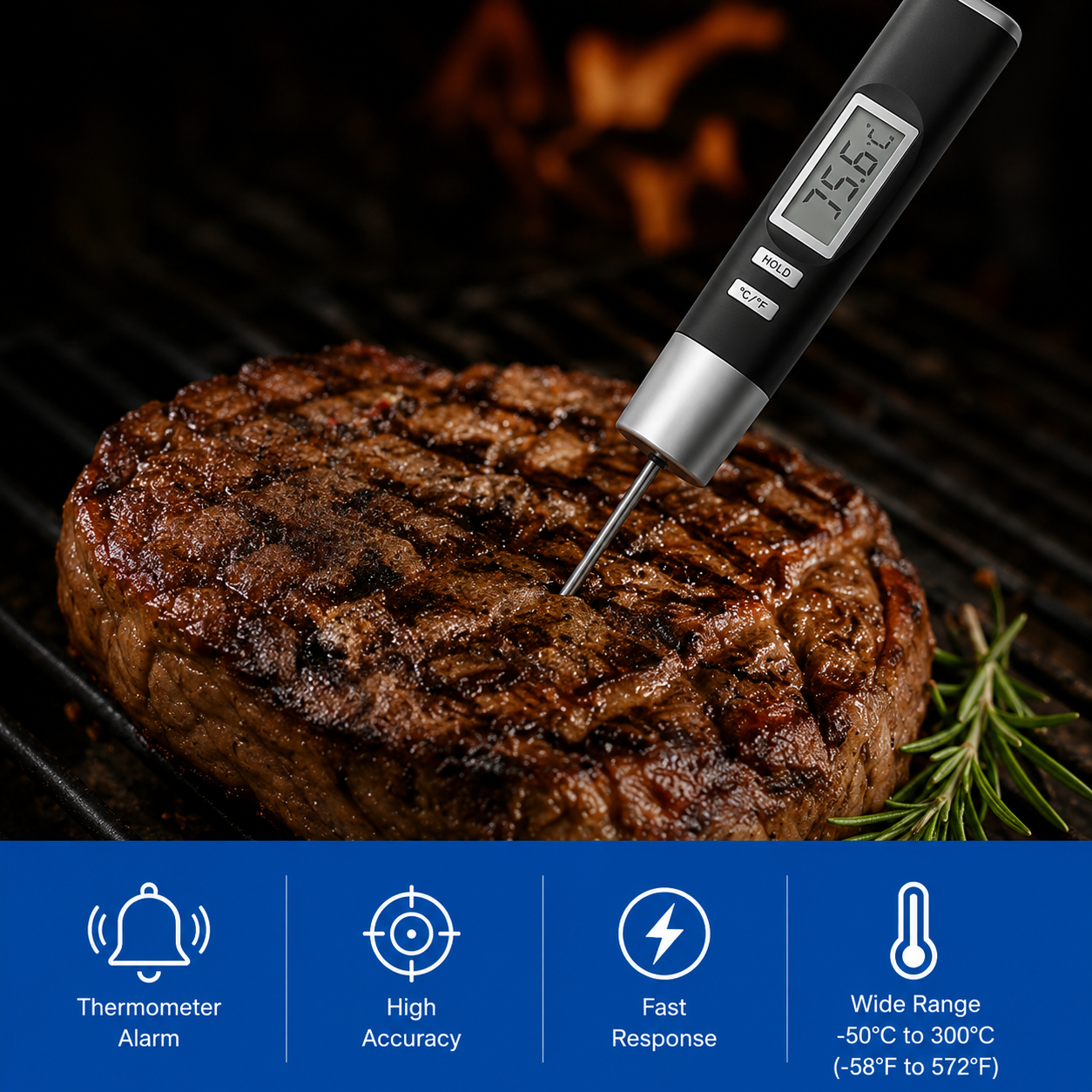 Beamy® BBQ temperature fork