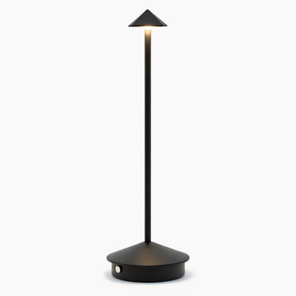 Elegant table light