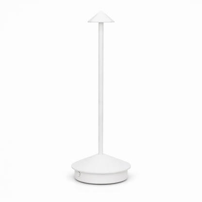 Elegant table light
