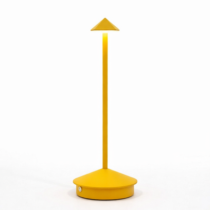 Elegant table light