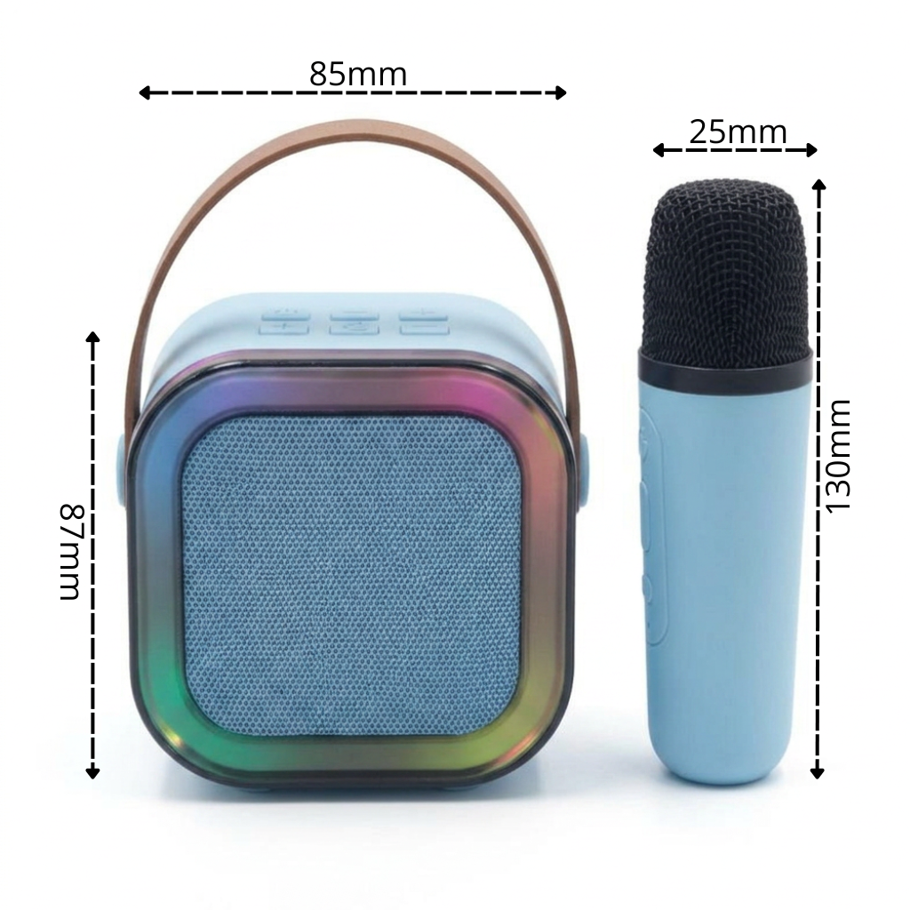 Karaoke speaker