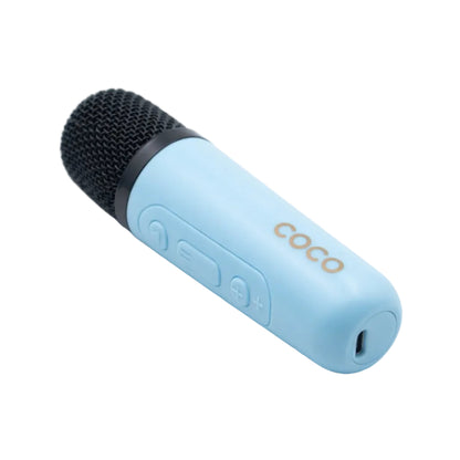 Karaoke speaker